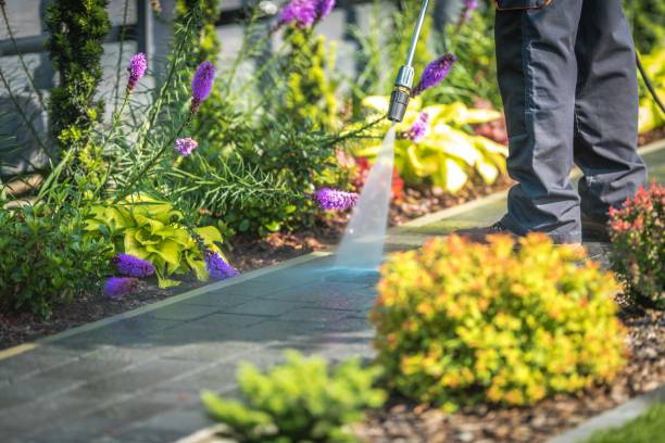Professional  Pressure Washing Services in Boyes Hot Springs, CA